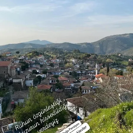 Pensiune Sirince Dogadaki Evler 3*