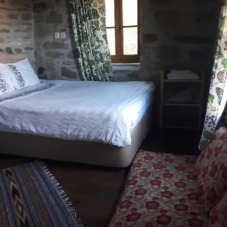 Πανσιόν Sirince Dogadaki Evler Σελτσούκ